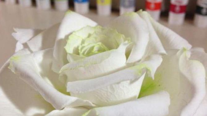 Как сделать цветок из холодного фарфора Мк цветы из холодного фарфора для начинающих