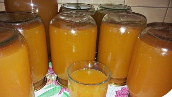 Сок из яблок на зиму, полученный из соковыжималки: советы, рецепты, описание Как сделать яблочный сок на зиму